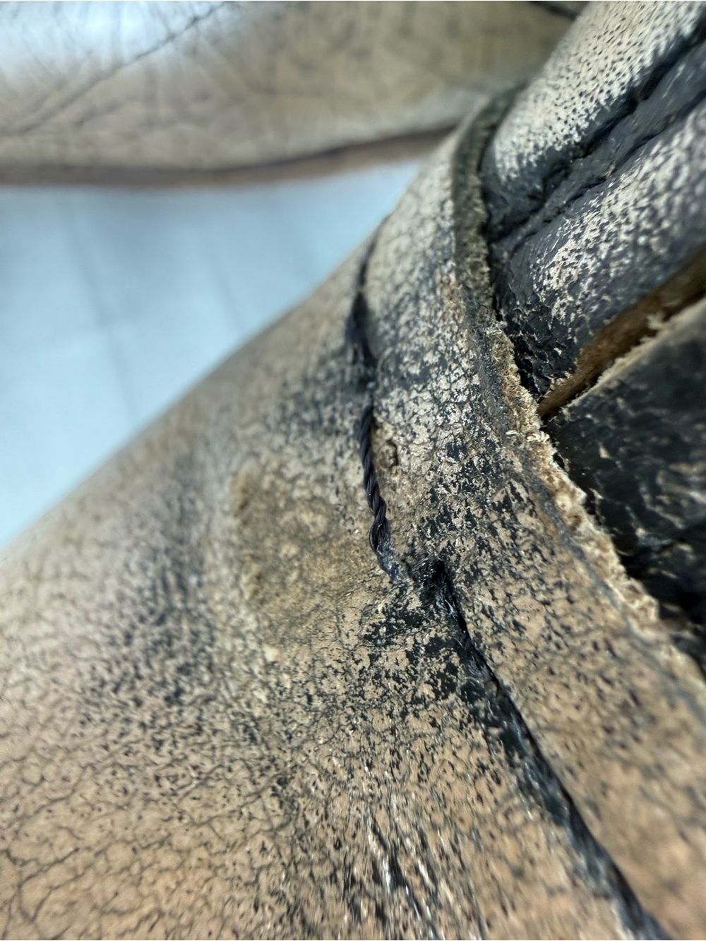 Freebird by Steven Joey Distressed Leather Buckle Block Heel Ankle Booties Boots - Picture 16 of 16